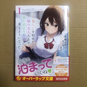一人暮らしを始めたら、姉の友人たちが家に泊まりに来るようになった 1