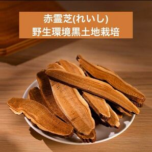 赤霊芝スライス100g 野生環境黒土地栽培 漢方 薬膳 マンネンタケ 万年茸