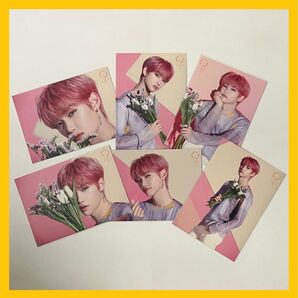 Stray Kids DISTRICT 9:UNLOCK IN JAPAN ラントレ フィリックス Felix コンプリート