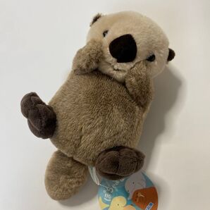 【新品未開封】鳥羽水族館 ラッコ ぽちゃまるラッコ