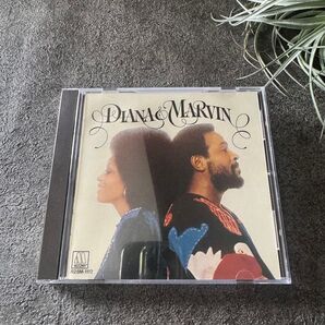 ダイアナ&マーヴィン/ダイアナロス&マーヴィンゲイ