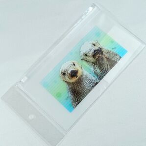 【クーポン使用可】鳥羽水族館 ラッコ メイキラ クリアポーチ 新品