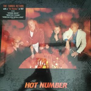 LP THE FABULOUS THUNDERBIRDS / HOT NUMBER