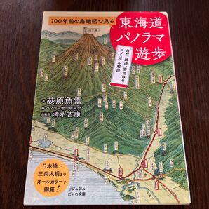 100年前の鳥瞰図で見る東海道パノラマ遊歩 (ビジュアルだいわ文庫 041J) 荻原魚雷/著 パノラマ地図研究会/編