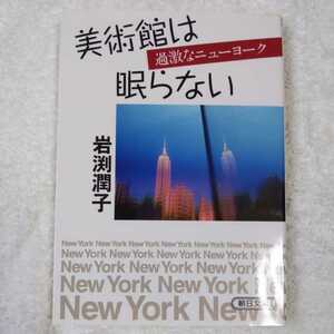 美術館は眠らない 過激なニューヨーク (朝日文庫) 岩渕 潤子 9784022610379