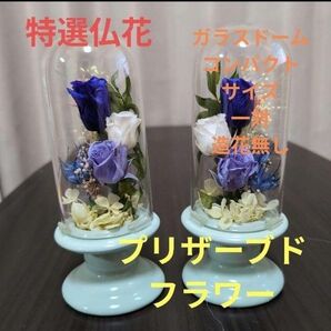 特選仏花 ガラスドーム コンパクトサイズ 造花無し 一対 プリザーブドフラワー