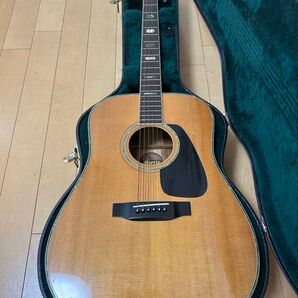 MORRIS TF-801 & Martin ハードドケース