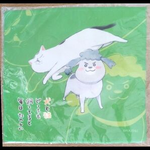 犬と猫どっちも飼ってると毎日たのしい ミニタオル ハンカチ