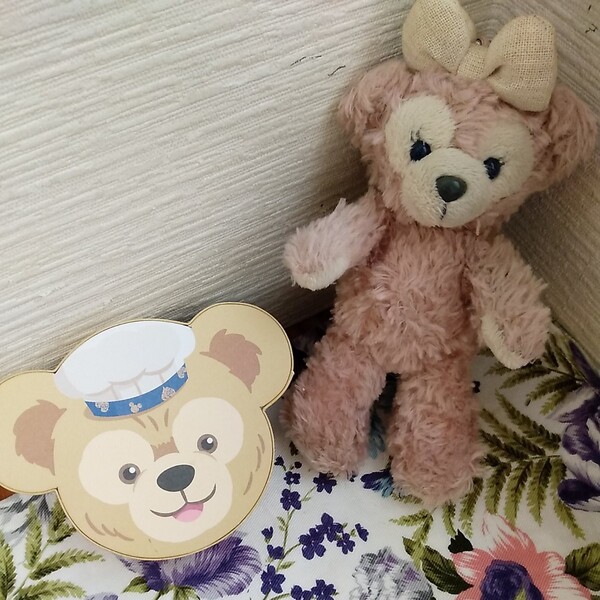 ダッフィーぬいぐるみと小物入れ