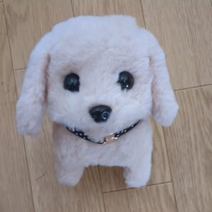 犬 ぬいぐるみ トイプードル風 ベージュ系