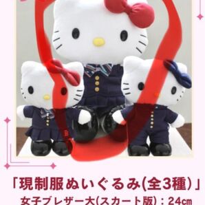 限定! 栃木県立黒磯高校100周年 ハローキティ 制服ぬいぐるみ 大24㎝