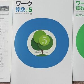 最新版 新品未使用 ワーク 算数 小5 啓林館 教科書対応 問題集 テキスト 小学生ワーク 確認テスト