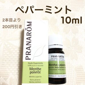 【 ペパーミント 】10ml プラナロム 精油 Ⅰ