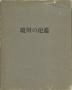 境川の氾濫　若林奮