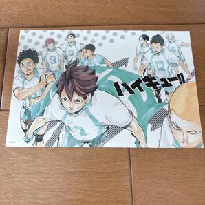 ハイキュー 青葉城西 ステッカー 及川徹 岩泉一 花巻貴大 松川一静