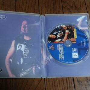 DVD スティーブルカサー＆ロスロボトミー IN CONCERT    STEVE LUKATHER & LOS LOBOTOMYS  の画像4