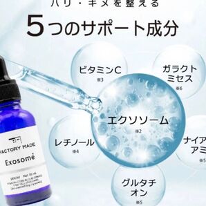 factory made serum ファクトリーメイド セラム