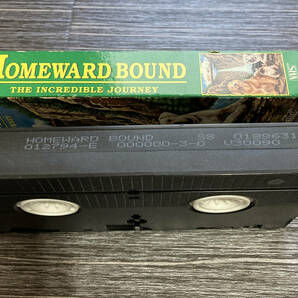 ディズニー実写映画「奇跡の旅 Homeward Bound The Incredible Journey」VHSビデオ 英語版 日本語なし Walt Disney home videoの画像5