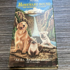 ディズニー実写映画「奇跡の旅 Homeward Bound The Incredible Journey」VHSビデオ 英語版 日本語なし Walt Disney home videoの画像1