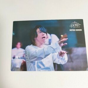 ミセスグリーンアップル フィヨルド11