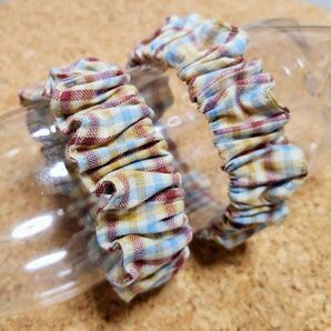 アームバンド チェック