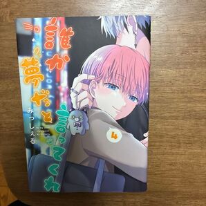 誰か夢だと言ってくれ 4 (集英社ガールズコミックス) みっしぇる/著 (978-4-08-855201-9)