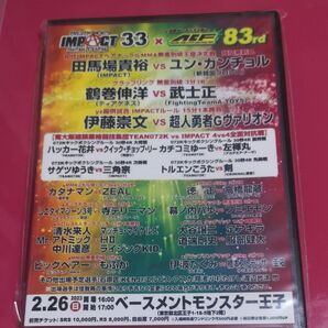 IMPACT 33 x AEF 83rd 格闘技イベント チケット 1枚