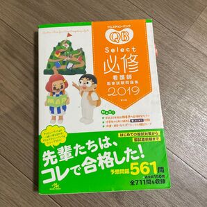QB 必修 看護師国家試験 問題集 2019