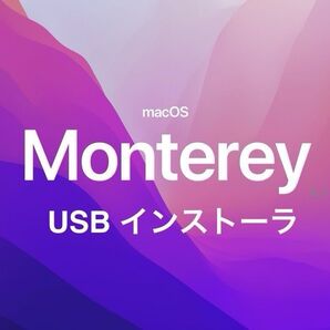 mac OS Montery 12.7.6 インストールUSBメモリ 起動ディスク インストーラー