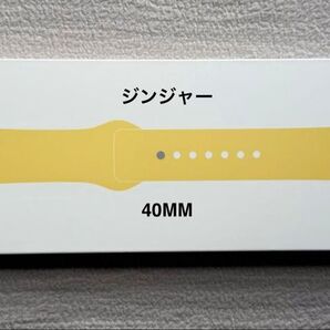Apple Watch 純正バンド 40mm ジンジャー スポーツバンド - レギュラー MGQR3FE/A