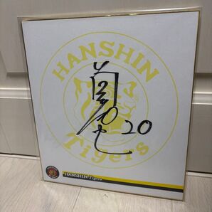 阪神タイガース 筒井和也選手 直筆サイン色紙