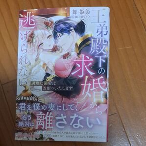 王弟殿下の求婚から逃げられない 過度な溺愛はお断りいたします (NIGHT STAR BOOKS) 舞姫美/アルファポリス