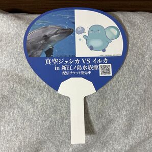 真空ジェシカ VS イルカ in 新江ノ島水族館 うちわ