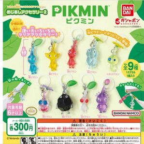 めじるしアクセサリー2