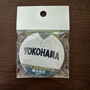 第95回神奈川県高等学校野球選手権記念Tシャツ2枚セット&横浜高校選抜記念缶バッジ