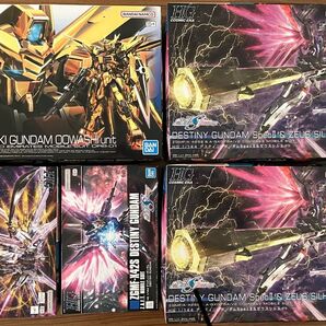 HG 機動戦士ガンダムSEED デスティニー ゼウスシルエット マイティーストライクフリーダム アカツキ