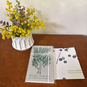 北欧、暮らしの道具店 暮らしの手帖 2016 オリーブ柄 未使用