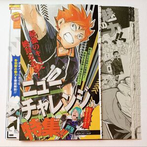 最強ジャンプ 4月号 切り抜き ハイキュー 特集