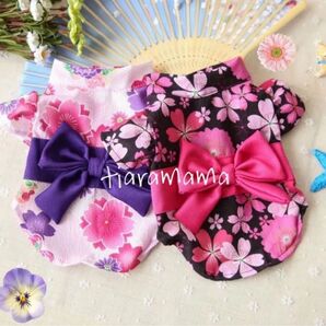 【即購入ok】夏祭り 浴衣 犬服 猫服 ブラック パープル リボン帯
