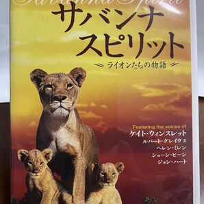 DVD ライオン サバンナスピリット ライオンたちの物語 BBC ドキュメンタリー