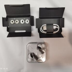 Nothing ear(1)訳あり品