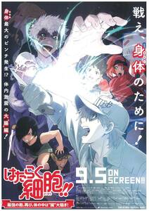 映画チラシ 2020年09月公開 『「はたらく細胞!!」最強の敵、再び。体の中は“腸”大騒ぎ！』