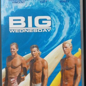 ビッグウェンズデー DVD サーフィン映画 名作 …僕ら世代はこれを観てサーファーになった…