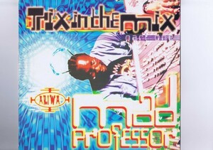 UK盤 LP Mad Professor / Trix In The Mix Part 1 / マッド・プロフェッサー ARILP155