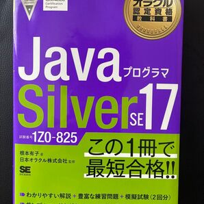 Java silver 17と8