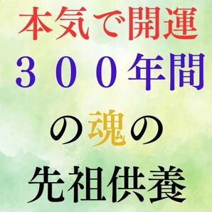 【本気で開運】300年間の先祖供養 健康祈願祈祷 一族繁栄霊符 開運神塩