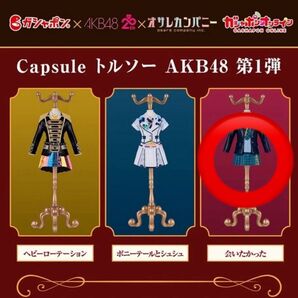 AKB48 トルソー