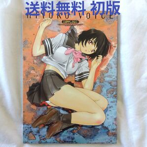 【匿名配送】こばやしひよこ Hiyoko Voice イラスト集 初版 ポスター付き【送料無料】