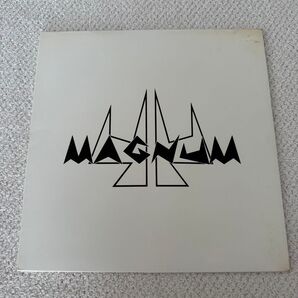 44 MUGNUM ACTOR レコード