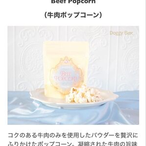 9月Doggy Box おやつ